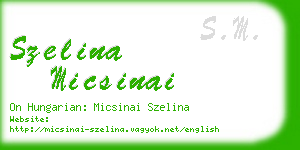 szelina micsinai business card